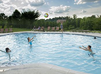 2 Sparkling Swimming Pools